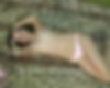77919094_{w2101}_18.jpg
